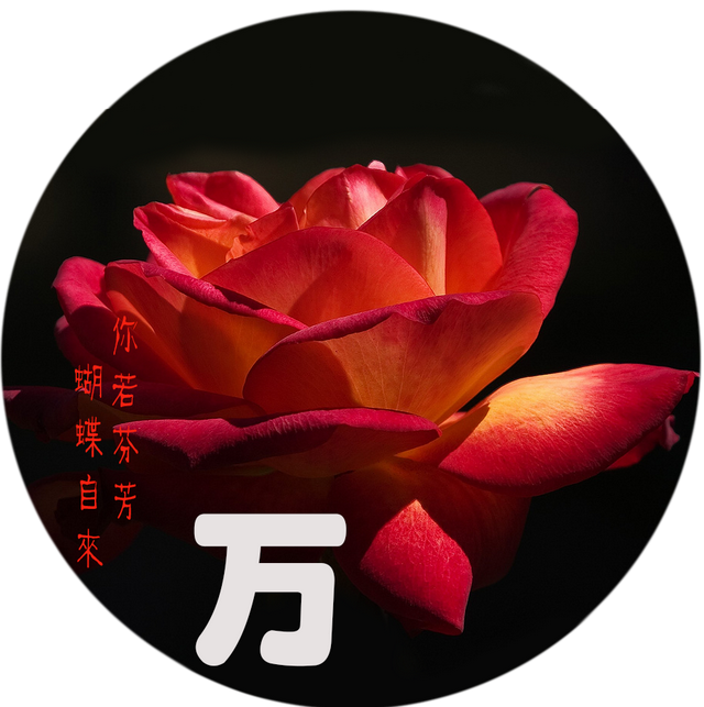 定制一个你的专属头像吧??微信，定制一个你的专属头像吧?（个性头像，微信头像，免费定制）