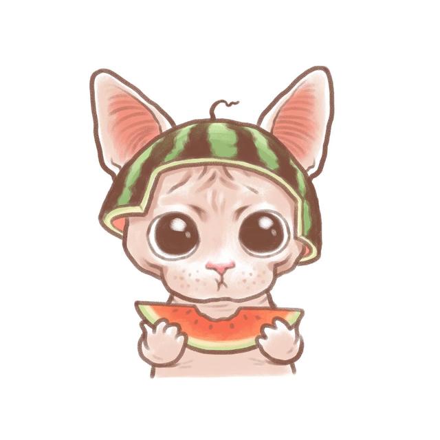 沫兮 卡哇伊可爱猫咪头像微信，沫兮 卡哇伊可爱猫咪头像（生活会奖励你一个新开始）