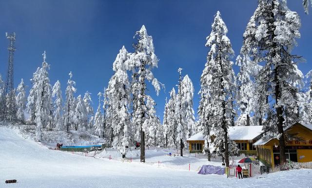 瓦屋山旅游最佳时间，瓦屋山在哪里（成都周边冬季玩雪1-2日游--瓦屋山攻略）