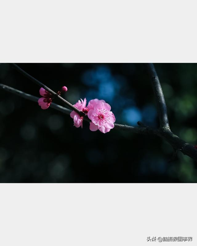 高光质感背景图，高清高级感背景图（若有这6个错误的深色背景照片）