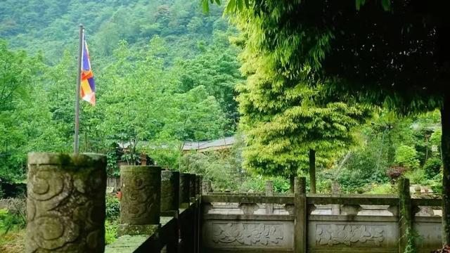 千佛山森林公园，千佛山在哪（不收门票的5个成都周边“小森林”）