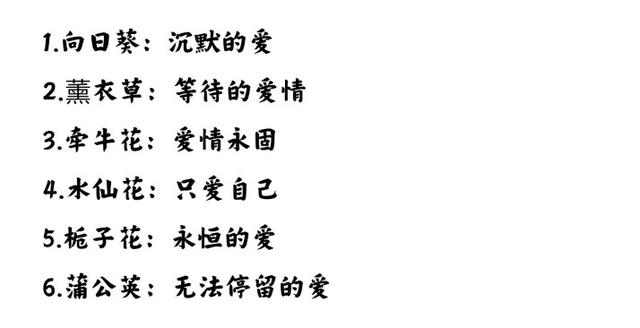 花的象征意义，菊花的象征意义（各种花代表的含义）