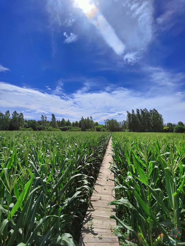 北京出游好去处，北京游玩好去处（到这些“世外桃源”）