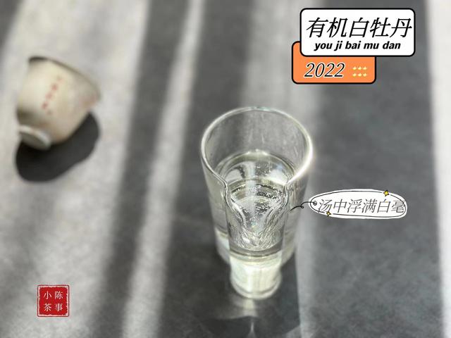 西湖龙井茶价格多少钱一斤，西湖龙井茶多少钱一斤（99元买遍西湖龙井、金骏眉、正岩肉桂）