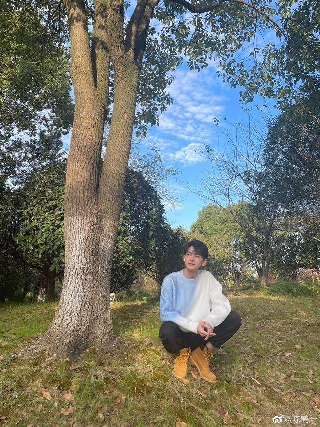 陈鹤一（陈鹤一简介，陈鹤一：从网红转型为演员（陈鹤一百度百科）