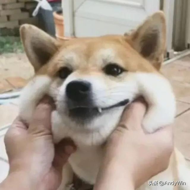 网红情头，微信头像，网红情头（超火的七夕头像壁纸）