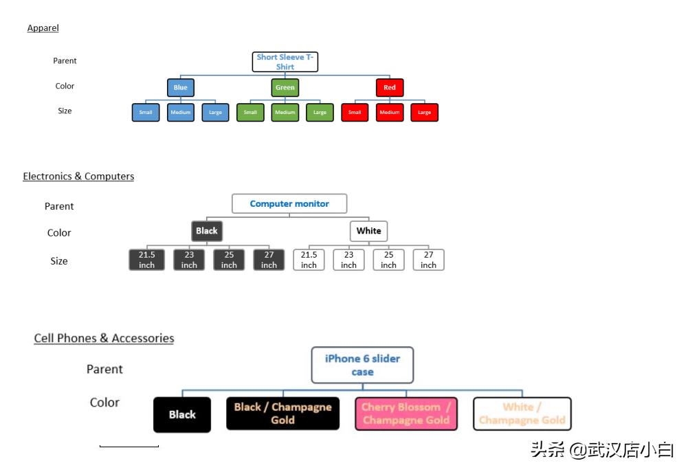 什么是亚马逊变体（亚马逊变体关系概览）