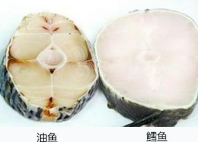 油鱼和鳕鱼的区别图片，油鱼和鳕鱼是什么鱼（油鱼和鳕鱼怎么区分）