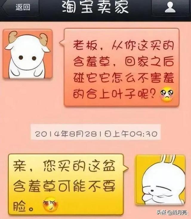 瑜伽裤爬山到底什么梗，爬山穿瑜伽裤是什么梗（不要穿瑜伽裤和男朋友去爬山）