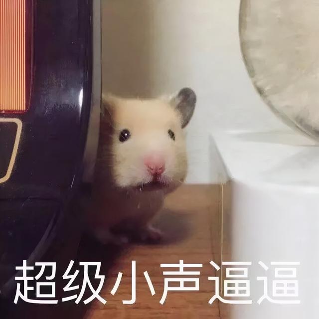 拜你所赐网名，拜你所赐微信昵称（四川人给娃儿取名字能有好随便）