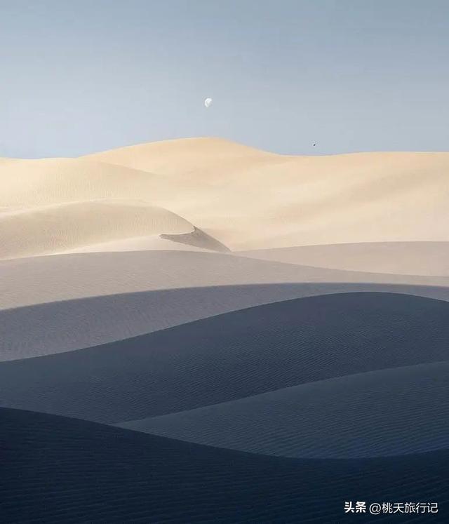 简约黑白线条画人物微信头像，黑白线描画人物头像（2022年黑白极简主义摄影获奖作品）