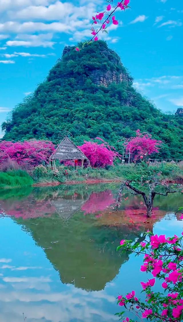鲜花盛开与心情的美句，形容鲜花带来美好心情的句子（就像你用心雕琢出曼妙字句）