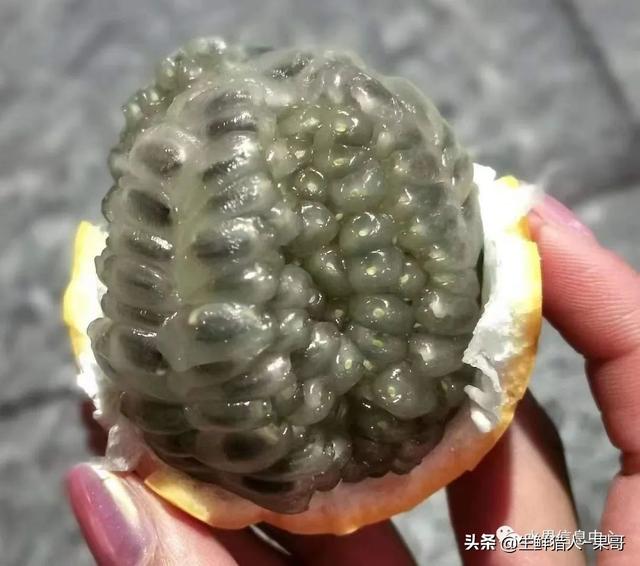 passion fruit是什么水果（土豪百香果，一斤100元）