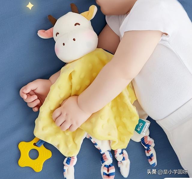 婴儿玩具的选择，婴儿玩具选择和功能介绍ppt（<包含玩法、清洁、安全等提示>）