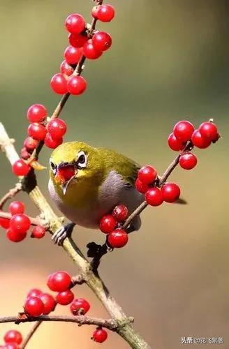 陌路离殇，微信头像，陌路离殇（流年一纸相思墨）
