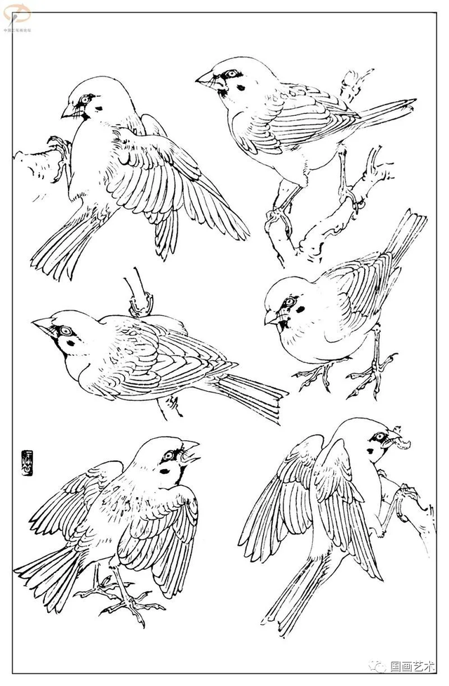 火的简笔画图片，火焰怎么画简笔画图片（画鸟参考——白描麻雀百图）