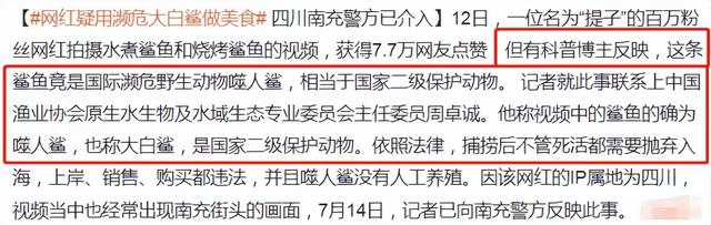 肥肥鲨，微信头像，肥肥鲨（被指吃相难看像恐怖片）