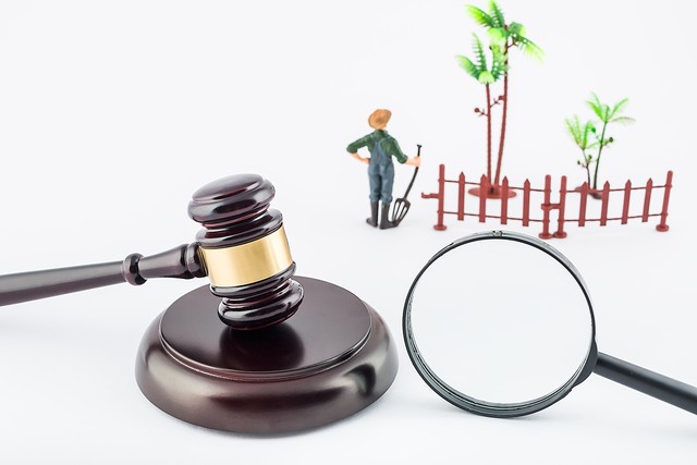 被执行人是农村户口，房子可以被执行吗？