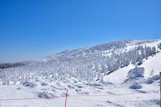 日本滑雪胜地推荐，日本TOP5滑雪胜地大揭秘