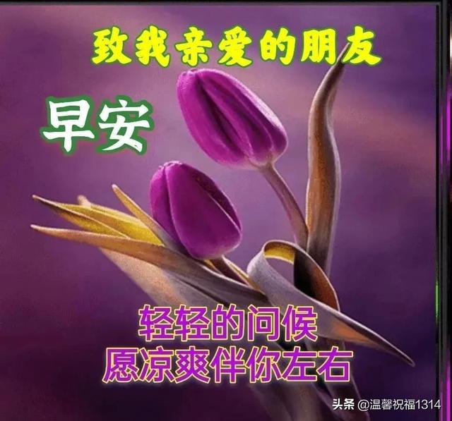 每天早上祝福语，早晨最好的祝福语（亲人朋友早安免打字图片带祝福语）