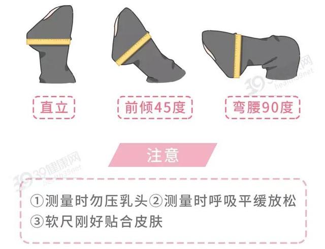 75b算大胸还是小胸，75b算大胸还是小胸怎么买内衣（全球女性胸部大小排行公开）