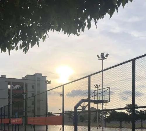 一句话文艺小清新句子，一句文艺清新的话（平平无奇却又句句惊喜的优质文艺句子）