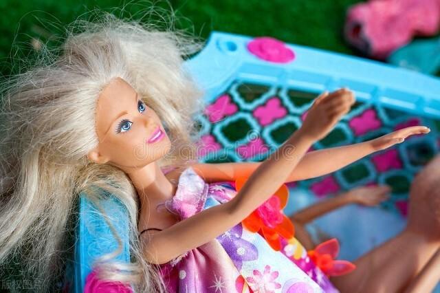 智利火玫瑰如何饲养，智利火玫瑰和红玫瑰哪个适合新手养（也要有好运气<144>）