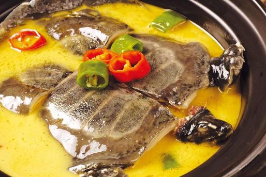 巴西龟可以吃吗，自养的巴西龟能吃吗（巴西龟在我国泛滥成灾）