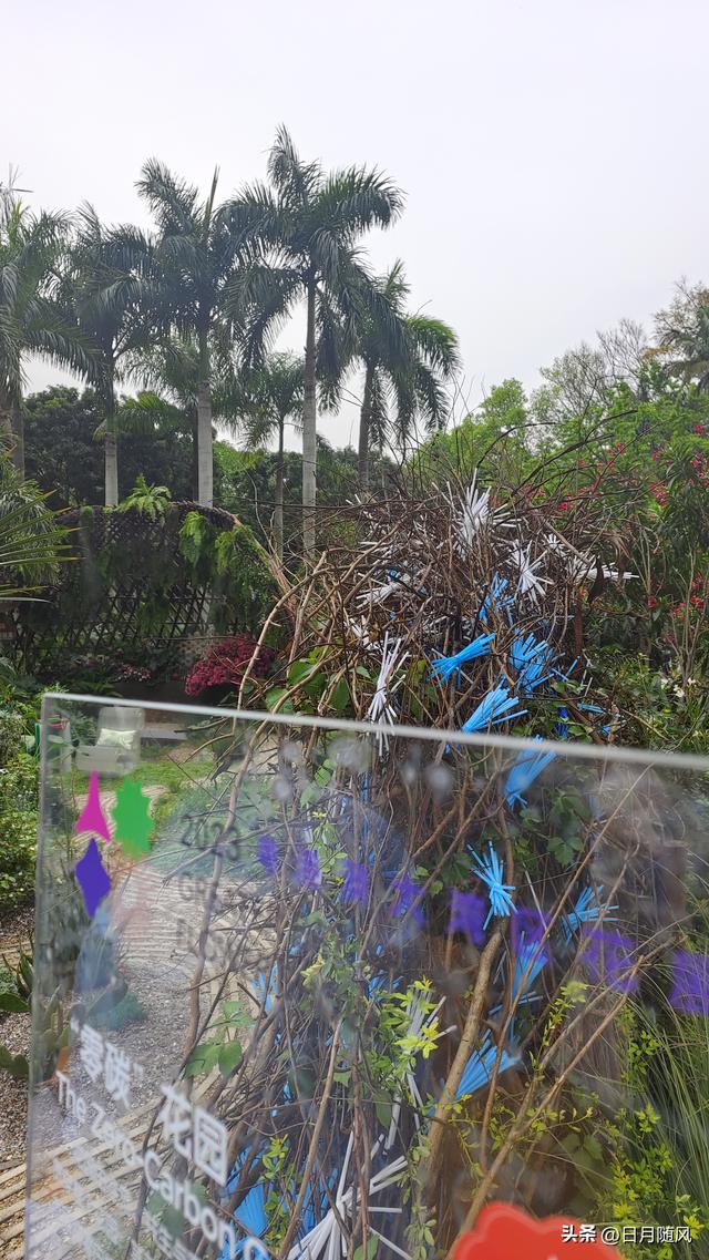 深圳市仙湖植物园，深圳仙湖植物园适合夏天逛吗（深圳仙湖植物园现场实拍图来了）