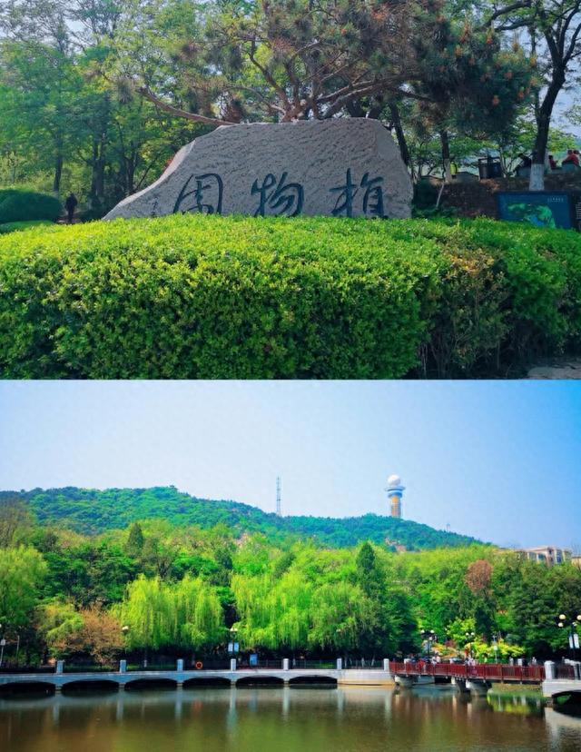 闲下来的日子到植物园走一走