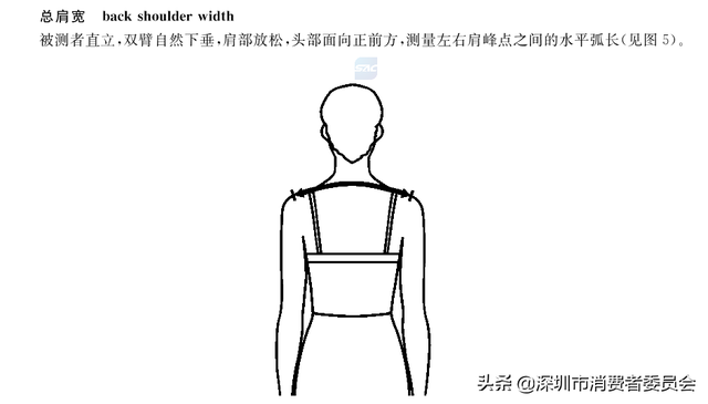 衣服的尺码大小怎么分，衣服的尺码大小怎么分体重（看懂吊牌的这些数字）