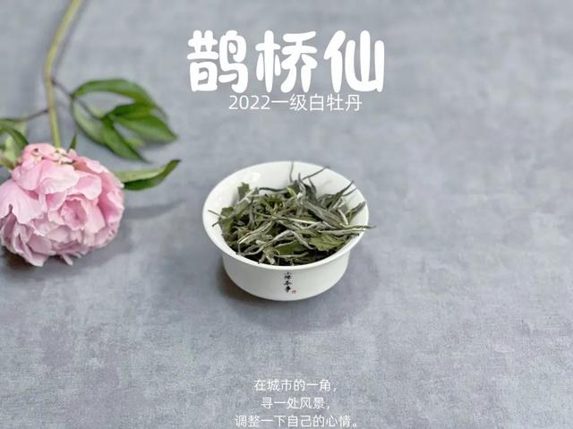 白茶属于哪类茶，白茶属于什么茶（说清楚绿茶和白茶的不同）