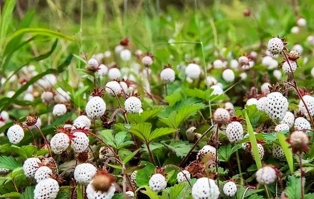 汉中旅游景点排名推荐，汉中旅游景点大全排名榜（在汉中一年四季可以这样玩 →）