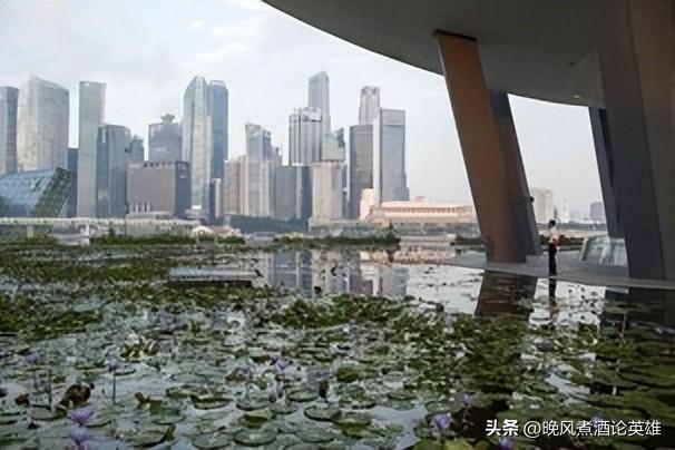 世界上最大的国家排名前十名，哪个国家面积最大前十名（2022年全球25个最佳国家/地区排名）