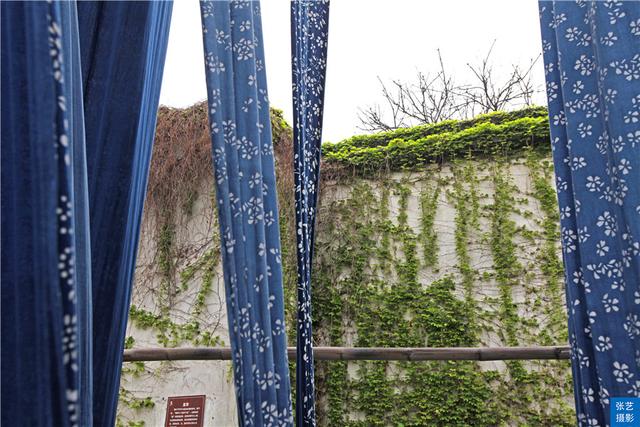 乌镇好玩吗，乌镇好玩吗值得去一下吗（素有“中国最后的枕水人家”之誉）