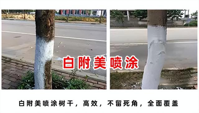 树干涂白剂的简易调配方法，树干涂白剂的制作方法（白附美：纳米级树干专用涂白剂）