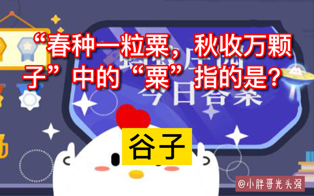 春种一粒粟的粟是指，春种一粒粟的粟指的是什么（秋收万颗子”中的“粟”指的是什么）