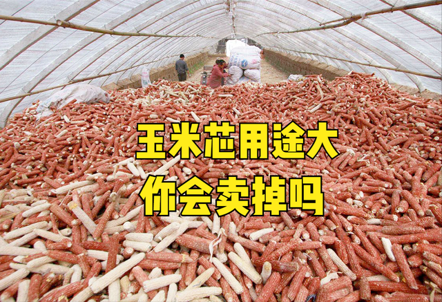 玉米芯有什么用途，玉米芯可作饲料预混料（不少人去农村收购）