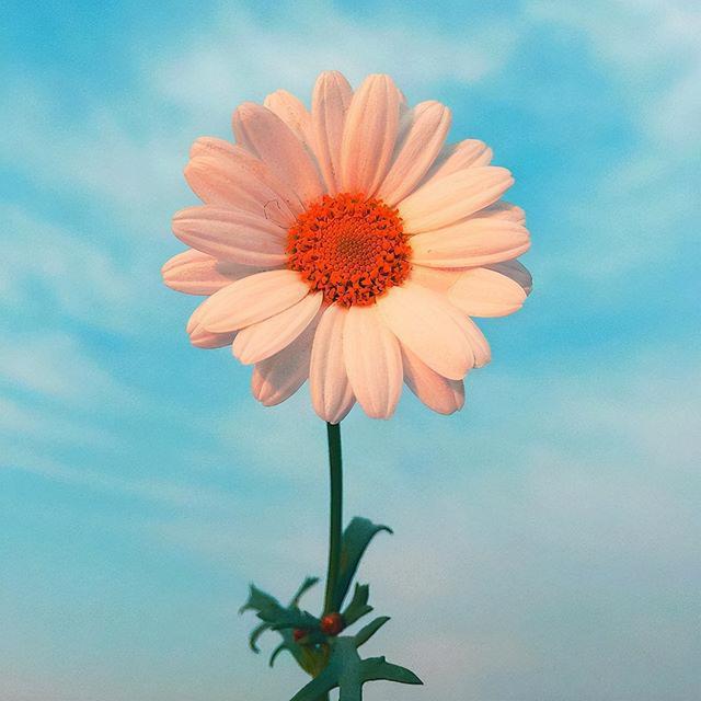 比较抑郁的一段话，很丧很抑郁的话（很丧很抑郁的心情句子）