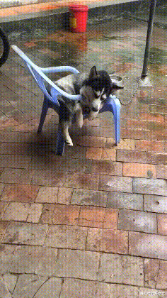 瑜伽裤爬山到底什么梗，爬山穿瑜伽裤是什么梗（不要穿瑜伽裤和男朋友去爬山）