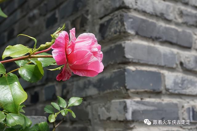 南京都有哪几个区，南京财经大学都有哪几个校区呀（南京人看南京——街区篇-T80园区）