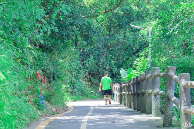 深圳徒步路线推荐，深圳海滨栈道徒步最佳路线（深圳10条徒步路线）