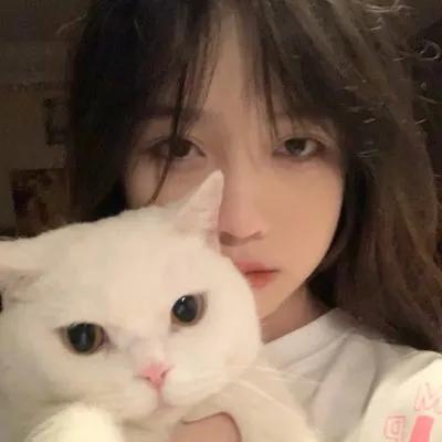 女头  情头，微信头像，女头  情头（女生有男朋友后才懂得的事）