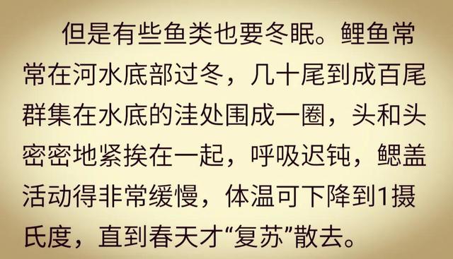 渣渣是什么意思，渣渣辉是什么意思（华夏先民很喜欢将与吃相关的叫作shu/su）