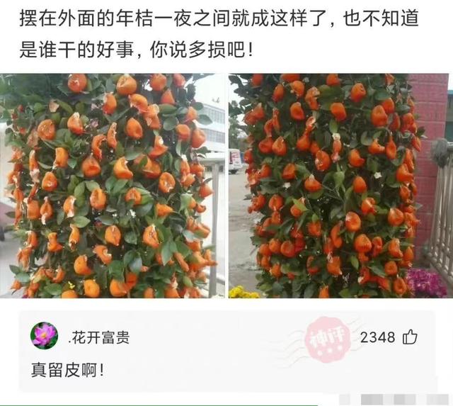 朗朗上口的烧烤店名，顺嘴的烧烤店名（你们能帮忙取个霸气的名字吗）
