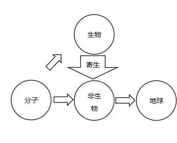 维度空间1到10维图解，什么是维度空间（维度新体系<修正版>）