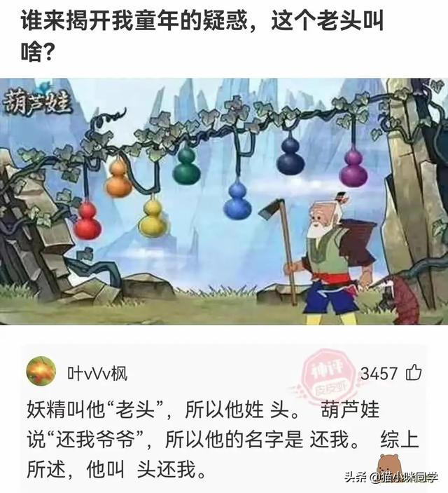 壁虎能长多大，为什么家里有壁虎一定要打死（“以为买了个壁虎）