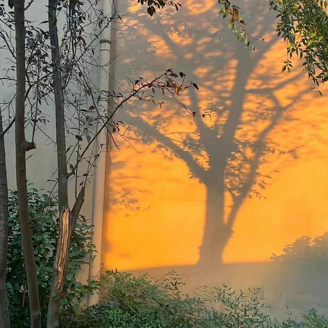 关于中考加油的励志短句，中考励志短句霸气（<点击接收好运.>）