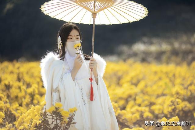 唯美的文案短句，唯美的文案句子（优美的文案短句）