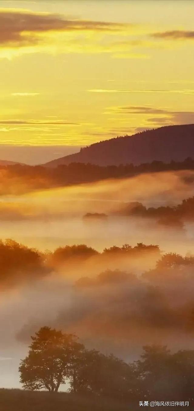 唯美照片，唯美照片风景（高清唯美自然风景图库）